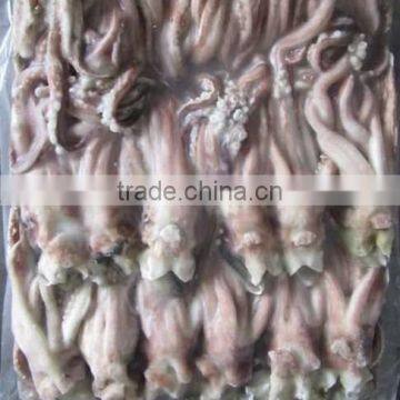 Best Quality New Season Squid Tentacles Good Taste