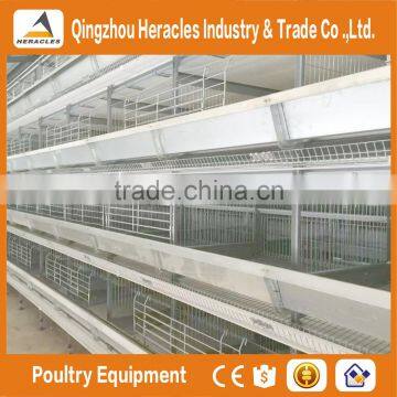 Hercles High Quality Poultry Equipment Automatic Chicken Layer Cage/egg Laying Cages for Sale in Philippines photo-4