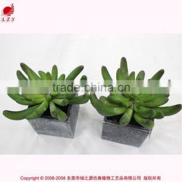 Artificial Mini Succulents Potted Succulent Plant Wholesale Small Succulent Plants photo-6