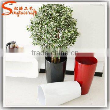 Large Outdoor Bonsai Trees Banyan Wholesale Bonsai Trees Ficus Microcarpa Bonsai Trees photo-4