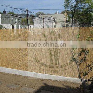 Reed Fence photo-5