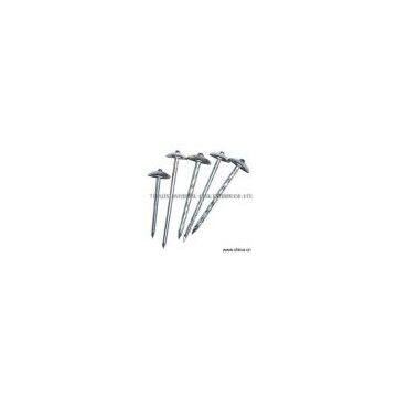 Sell Galvanized Umbrella Head Roofing Nails