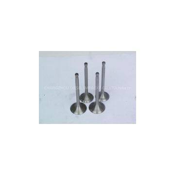 Different models valve with steel material on promotion