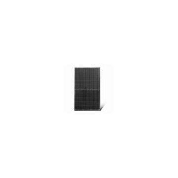 240W Poly crystalline solar module