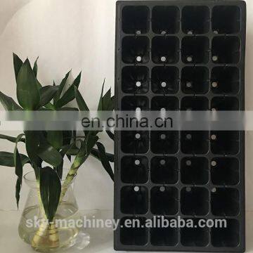 plastic tree seed tray