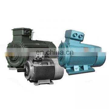 electric motor 500kw