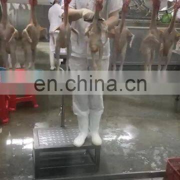 chicken slaughter line / halal / broiler chicken slaughter line