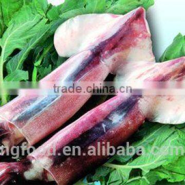 Frozen whole round squid todarodes pacificus