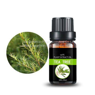 Tea Tree Essential Oil For Skin Body Aroma Humidifier Diffuser In Bulk Price Pure Natural photo-4
