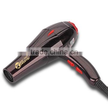 Professinoal Hair Salons Hair Dryer Cold and Hot Blow Dryer