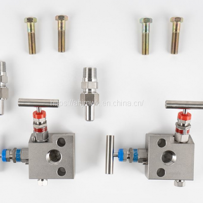 Stainless Steel Integral 2-Valve Manifolds 316 female npt