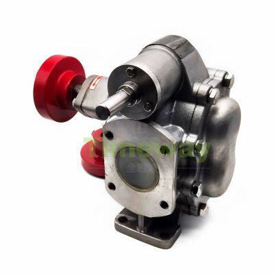 RK Hydraulic Gear Pump Oil Transfer Pump RK135 Gear Oil Pump 304 Stainless Steel Fuel Gear Pump Oil Pump Dispenser Fuel Oil Pump