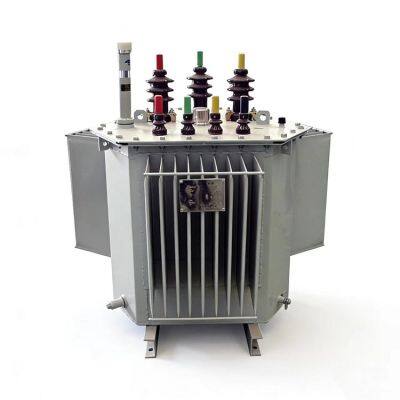 Oil-immersed Transformer photo-4