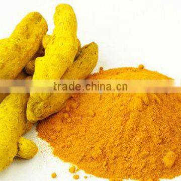 Organic Pure Turmeric Powder Bulk Producers