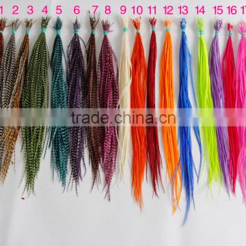 2015 New Arrival Factory Price real rooster feather hair extensions pure color feathershair extension                        
                                                Quality Choice