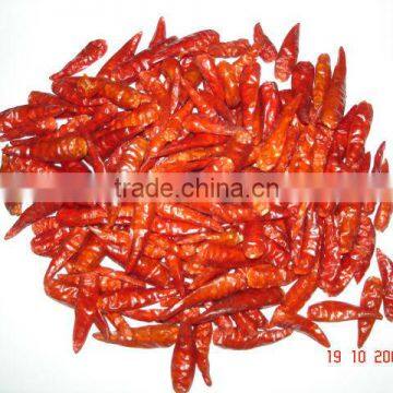 DRIED CHILLI