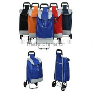 Promotional Shopping Carts