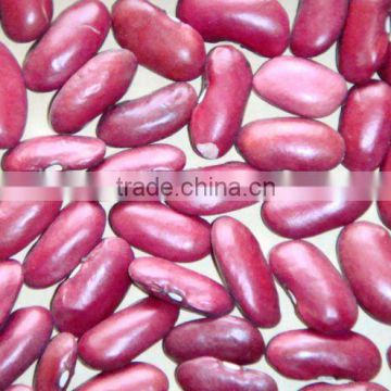 Chinese dark red kidney beans new crop