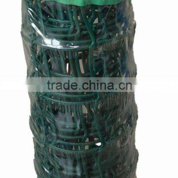 Poly Mesh Rolls