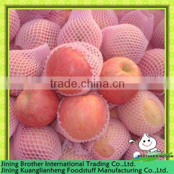 China fuji apple exporter