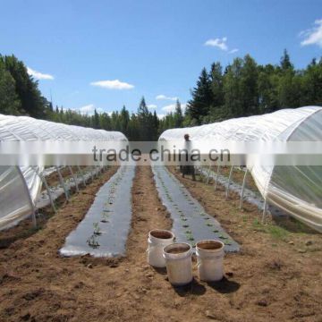 PE plastic greenhouse film