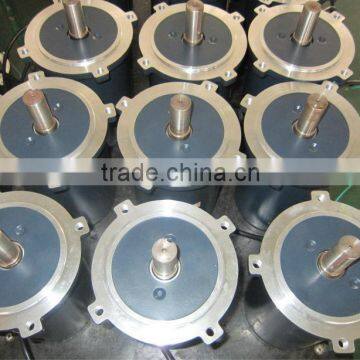 124ZY01 DC PM motor