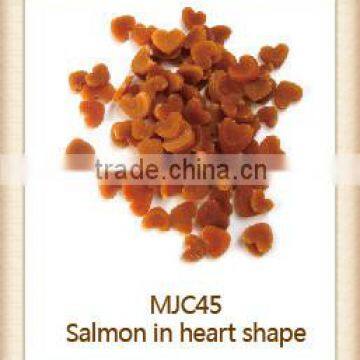 dry cat food salmon in heart shape