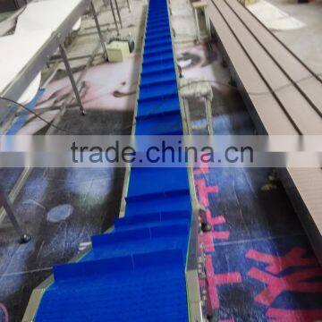 Plastic Belt Lifting Conveyor by Customized photo-2