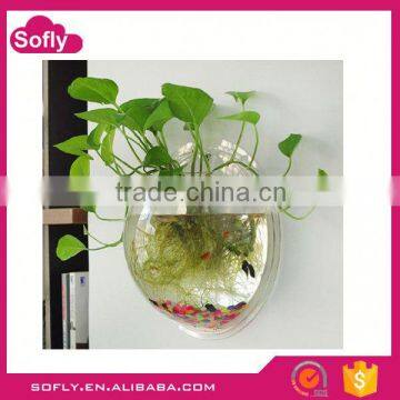 China Acrylic Aquarium Fish Importers, Tank Aquarium, Office Decorative Items