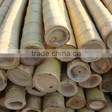 Natural yellow bamboo pole 6mm-60mm