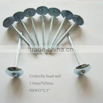 9BWG galvanized roofing nails with umbrella head