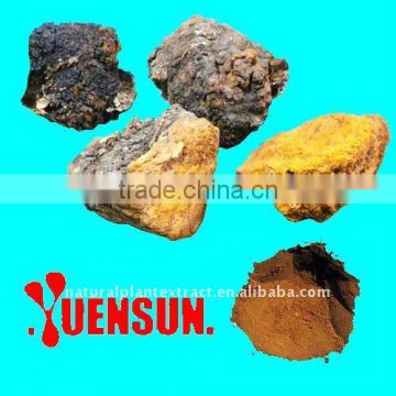 KOSHER Certified Chaga Extract (inonotus obliquus) / Polysaccharides 10%-50% UV