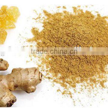 wholesale ginger powder