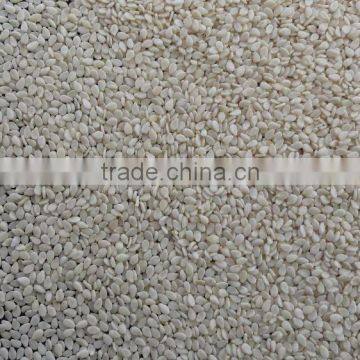 Sesame Seed Oil Press Machine photo-6