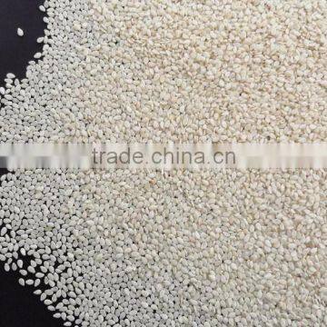 Sesame Seed Auto Dry Sortex Hulled 99.95% photo-3