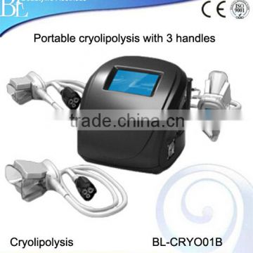 Skin Tightening Portable Fat Freezing Cryolipolysis Machine 3 Changeable Heads Weight Loss