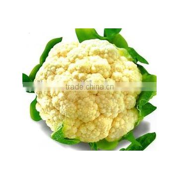 New Crop Frozen cauliflower