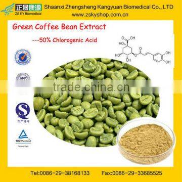 GMP manufacturer supply top quality Green Coffee Bean Extract --Pure chlorogenic Acid