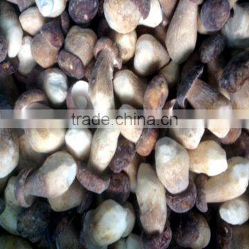 In bulk frozen IQF boletus edulis(porcini mushroom) from 2015 crop