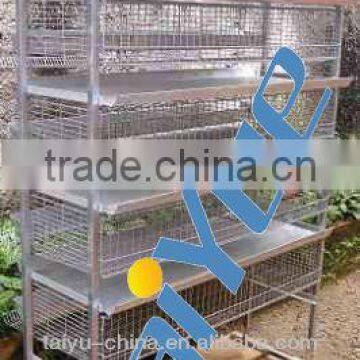 H Type 5 tiers galvanized vertical quail cage for sale