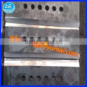 sugarcane blade