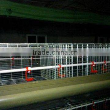 Automatic Broiler Chicken Cage of H Type