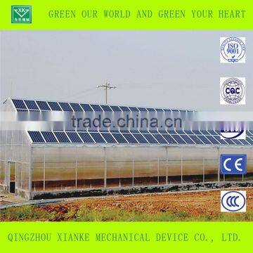 Multi-Span Glass Greenhouse for Agricultural Seeding photo-3