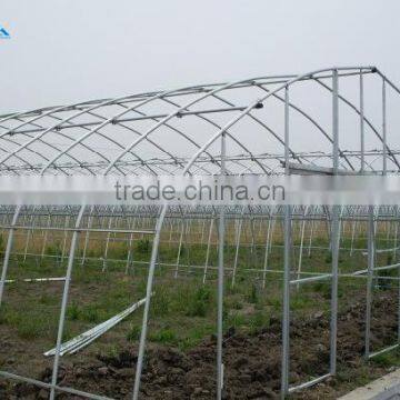 High Performance Pe Film Greenhouse For Strawberry photo-3