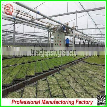 Commercial Used Steel Truss Frame Polycarbonate Greenhouses for Hot Sale photo-5
