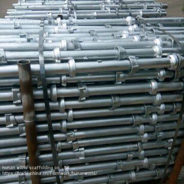 Q235 Steel Best Price Cuplock Scaffolding Material Name List photo-5