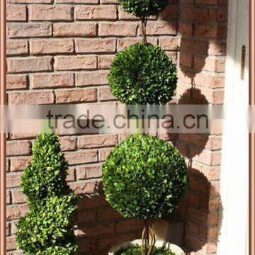 White Potted Preserved Triple Boxwood Balls Tree photo-3