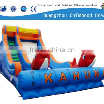 build your own playground slide/ large inflatable slide / inflatable pool slides for inground pools