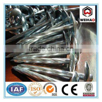 galvanized roofing nails factory/umbrella roofing nails supplier