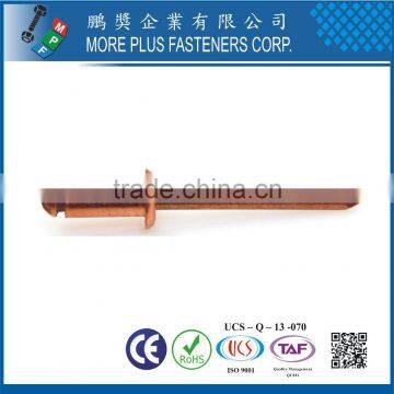 Made in Taiwan Steel Stainless Steel Copper Color Pop Special DIN 7337 Blind Flat Head Rivet photo-2